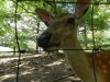 mistelbach_2013-39_800x600