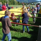 029_hela12