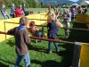 029_hela12
