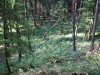 046_hela12