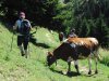 raro_grossarl_014