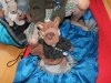 img_0717_1