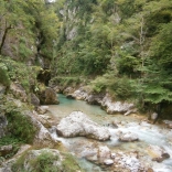 P7160946_800x600