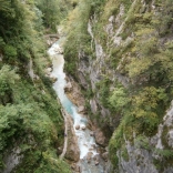 P7160953_800x600
