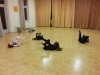 IMG_20160204_175511