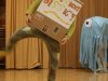 IMG_20160204_183041