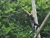 CaEx_SoLa_2017_041_1024x680