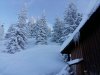 IMG-20170108-WA0012