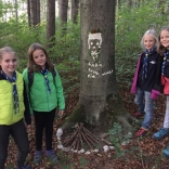 Waldgesichter-13