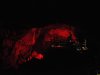CaEx_RedRose2018_137_1024x680