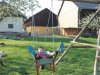 wela18_047
