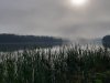 raro_sola_2019_091