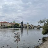 IMG_2377